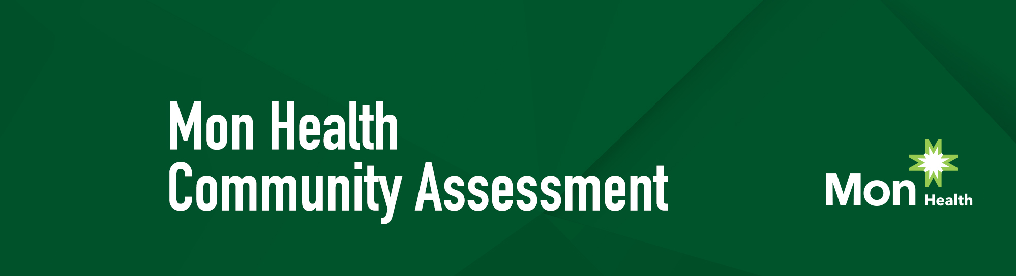 Mon Health Community Assessment